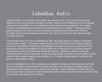 Audio Power EMI Filter Module Alternating Current Power Filter Anti-interference Anti-thunder Audio DIY