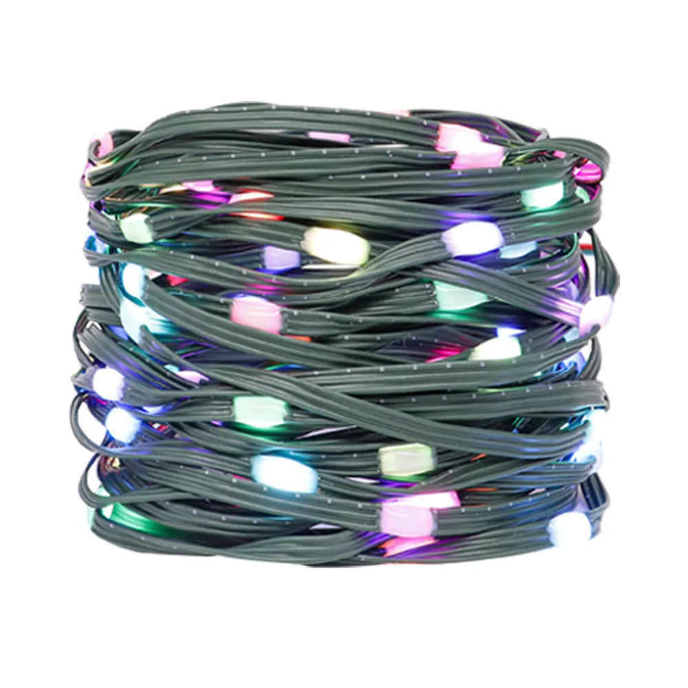 DC5V Addressable WS2812B LED String Transport Green Black Wire WS2812 3PIN Wire RGB Strip Christmas Lights Waterproof Decor