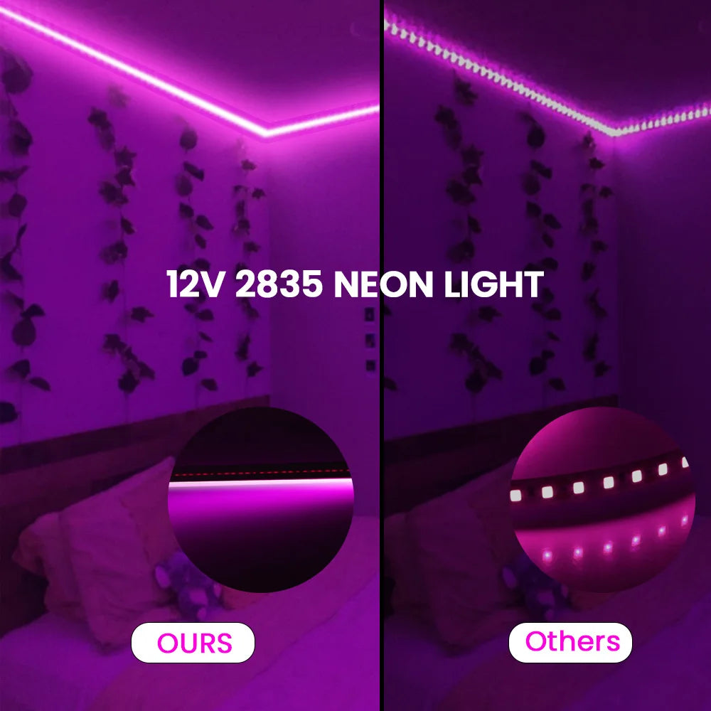 12V 24V LED Neon Light Strip Waterproof Neon Sign 6X12mm Silicone Rope Lights Flexible Lamp Decoration with DC Plug/2pin Wire