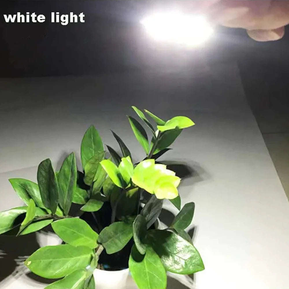 10 Pieces LED 3W 5V USB Light Board SMD 5730 Chip Red Green Warm White Yellow Purple Round Changing Light Source With 20 Cm Cabl