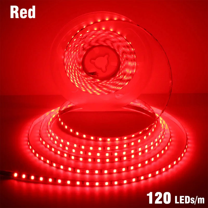 5mm 8mm LED Strip 2835 DC24V 12V 120LEDs/m Home Lamp Strips Red Ice Blue Yellow Orange Pink Flexible And Cuttable Soft Lamp Bar