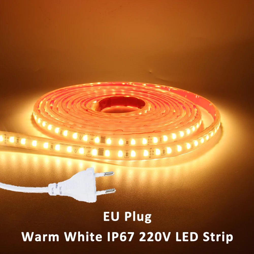 220V LED Strip Light SMD2835 120LEDs/m Waterproof Tape Lamp with EU Plug 1M 2M 3M 5M 10M 15M 20M Decor Lighting for the Yard