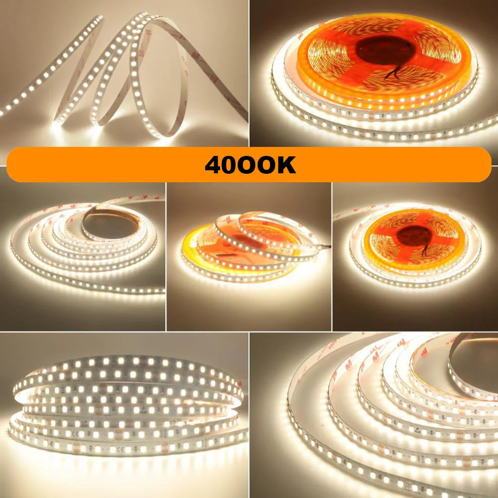 5m 10m RA98 LED Strip Light 2700K 3000K 3500K 4000K 5000K 6000K 12V 24V 2835 Flex Tape Stripe Hight Bright 120LED Home Lighting