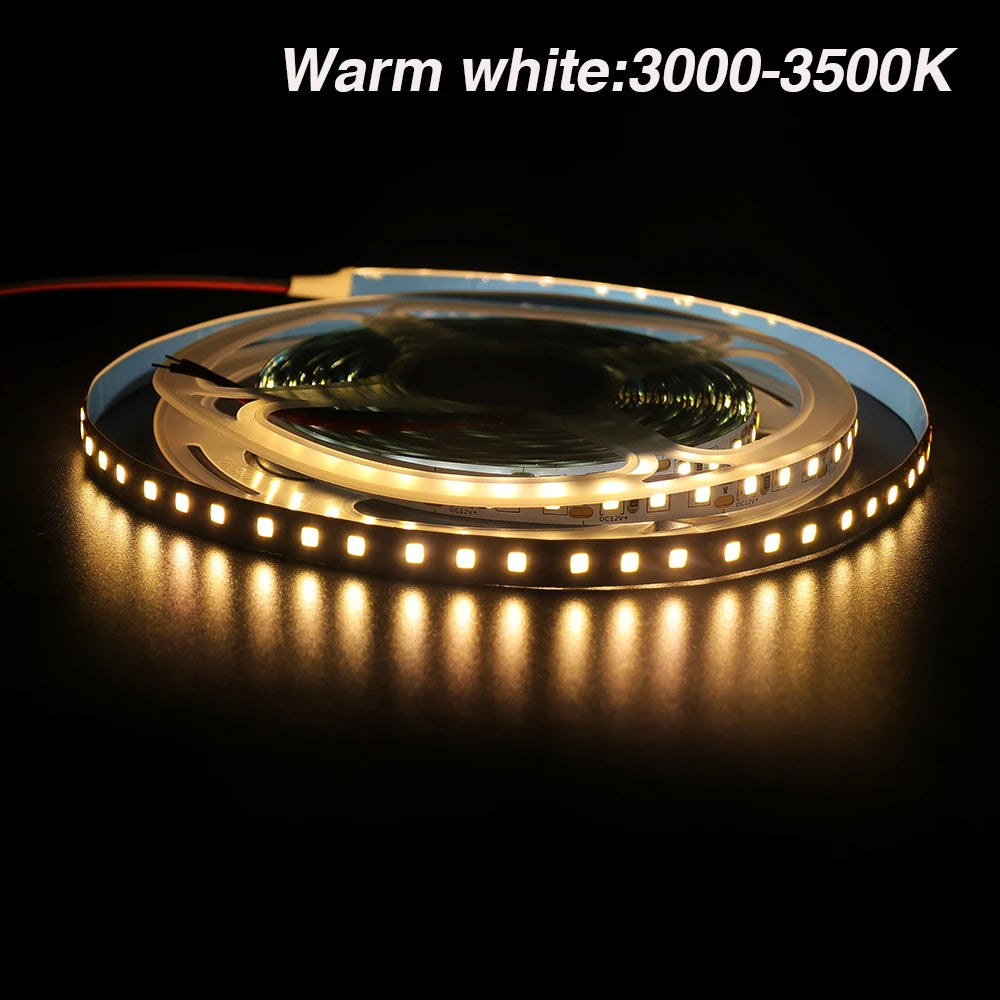 DC 12V LED Strip Light SMD 2835 120LEDs/m Red Green Blue Warm Cold White Home Decor Flexible Ribbon Tape Rope Linear Lighting