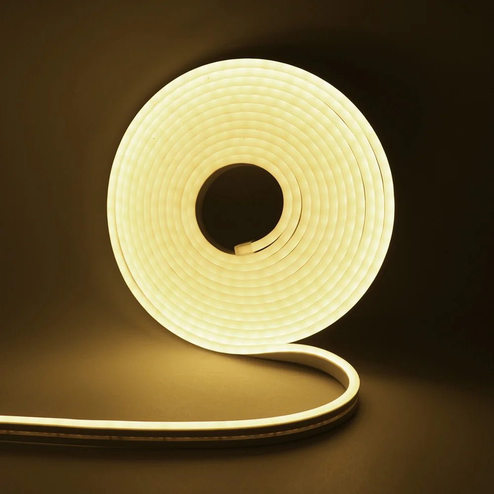 12V 24V LED Neon Light Strip Waterproof Neon Sign 6X12mm Silicone Rope Lights Flexible Lamp Decoration with DC Plug/2pin Wire