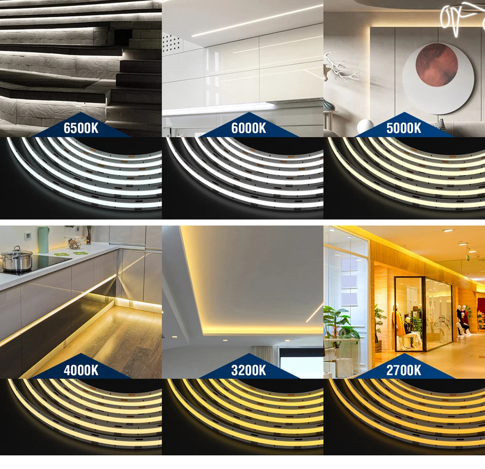 FCOB SPI CCT IC LED Light Strip WS2811 Addressable 576 LEDs 2700K to 6500K 10mm DC24V Flexible FOB High Density COB Lights RA90