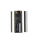Sipeed Lichee Tang Nano Minimalist FPGA Development Board Straight Insert Breadboard