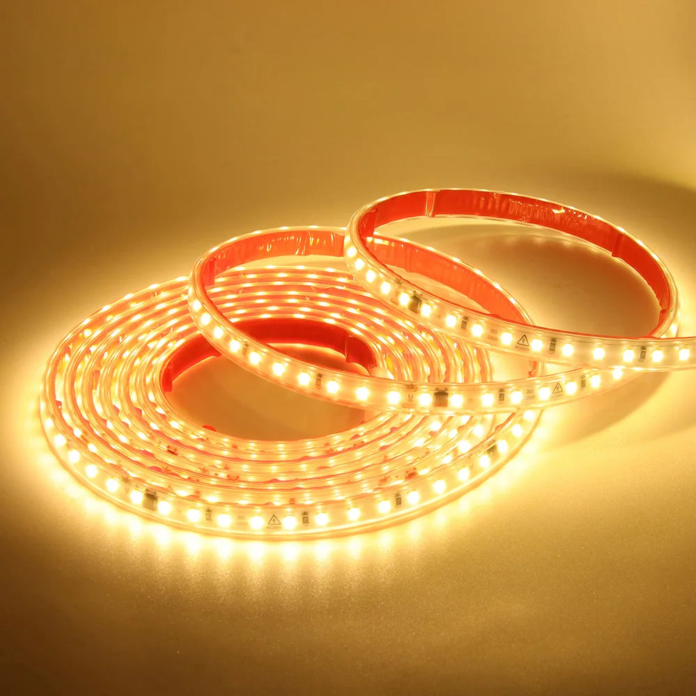 AC 220V 2835 LED Strip Light Waterproof IP67 120 LEDs Flexible Tape Lamp with IC Home Lighting White 0.5m 1m 2m 5m 10m 20m 50m