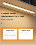 Motion Sensor LED Cabinet Light Rechargeable Induction Night Light Wireless Portable Detector Lamp Kitchen Staircase Backlight