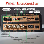 EU/US Plug Bluetooth 5.0 Amplifier Board With Optical Audio AMP USB FM Radio TF Player DIY Audio For Karaoke Home Car 110V/220V