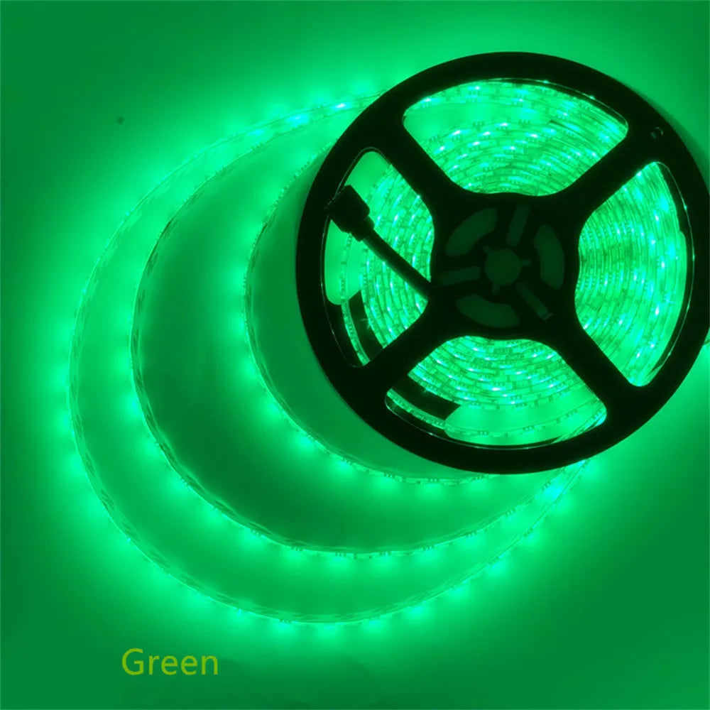 5M LED Strip Light 300 LEDs DC 12V RGB Red Green Blue Warm Cool White Flexible SMD 2835 Diode Ribbon Tape Lamp for Home Decor