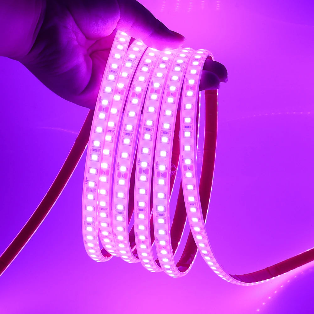 24V IP68 Waterproof LED Strip 120Leds White/Pink/Yellow/Red/Ice Blue/Green Swimming Pool Home Decor Flexible Ribbon Rope Light