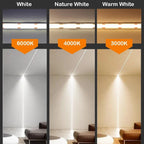 COB LED Strip Light High Density Linear Lighting 480/528Leds/m Flexible Tape Red Blue Green Warm Natural White Decor DC12 24V
