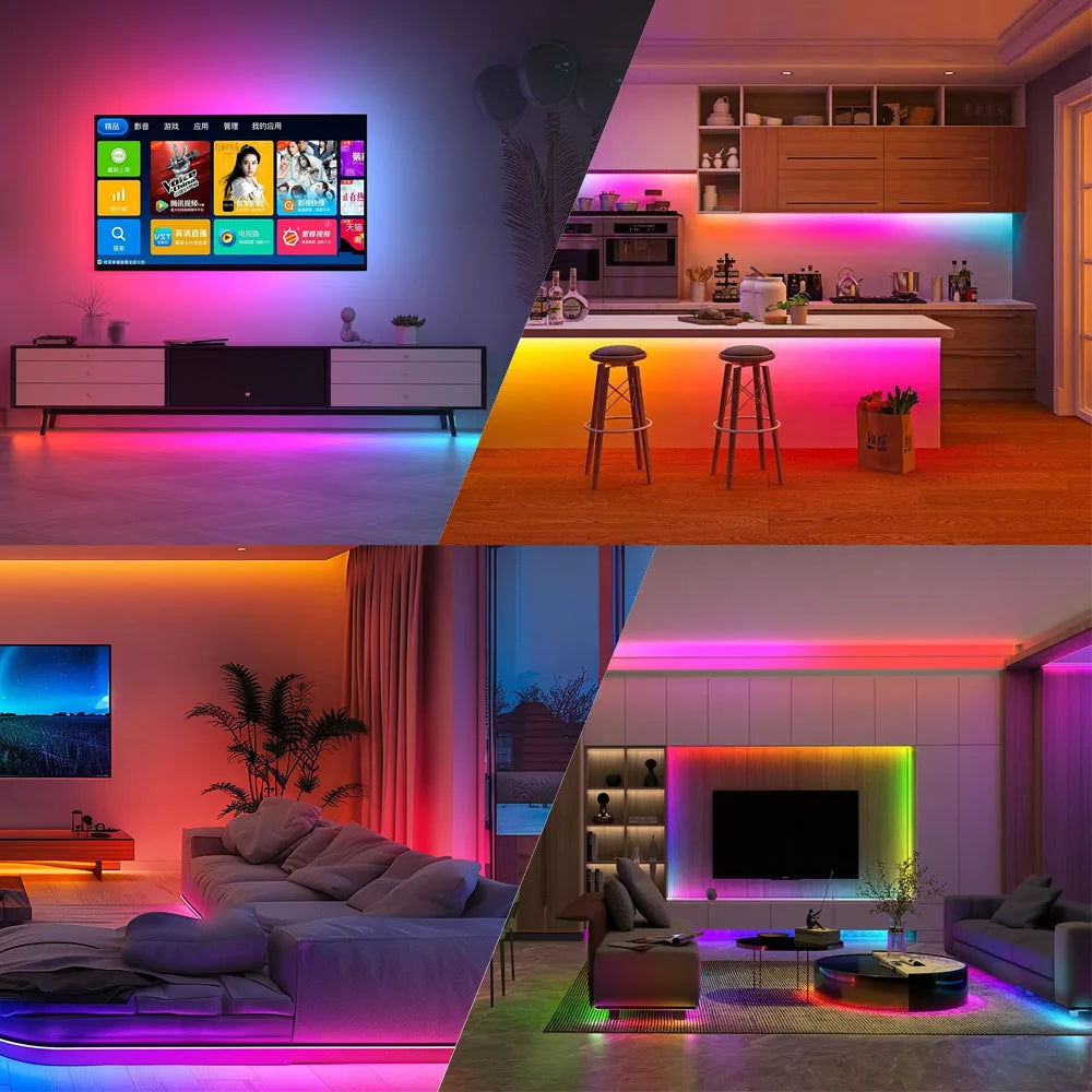 DC12V WS2815 DC5V WS2812B 5050 RGBIC LED Strip WS2812 30/60/74/96/144Leds/Pixels/m Individually Addressable Light IP30/65/67