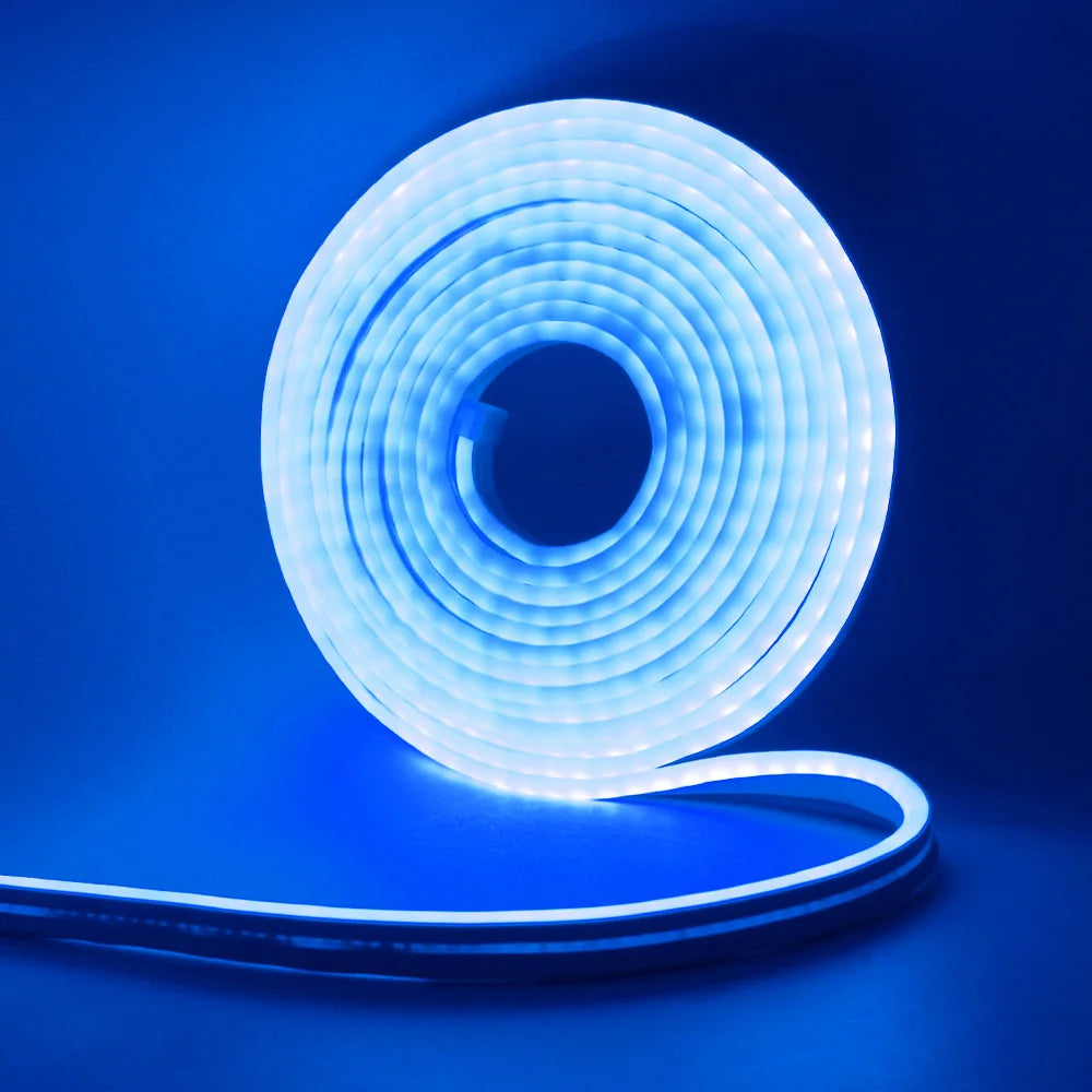 12V 24V LED Neon Light Strip Waterproof Neon Sign 6X12mm Silicone Rope Lights Flexible Lamp Decoration with DC Plug/2pin Wire