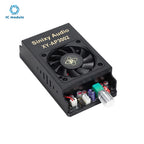 XY-AP3002 Pure Digital Power Amplifier Board TPA3255 Chip 600W Mono 300Wx2 Stereo HiFi Speaker pro Audio