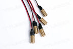 D6x10mm 650nm Red Dot Laser 1mw 5mw 10mw 50mw Laser Module Industrial Grade APC Driver for Stone Woodwork Cutting Alignment