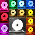 12V 24V LED Neon Light Strip Waterproof Neon Sign 6X12mm Silicone Rope Lights Flexible Lamp Decoration with DC Plug/2pin Wire