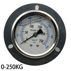 Industrial Pressure Monitoring Axial Edge Gauge Easy Installation Pressure Meter Barometer Seismic Pressure Meter