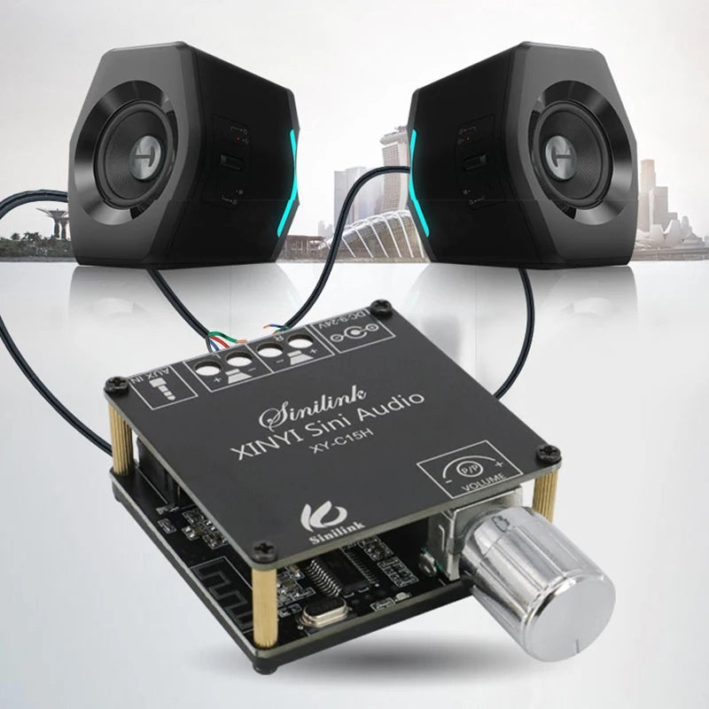 2*20W Bluetooth 5.0 Power Amplifier Class D Audio 10W~100W HiFi Stereo Wireless Music Player Mini USB Sound Card App Digital AMP