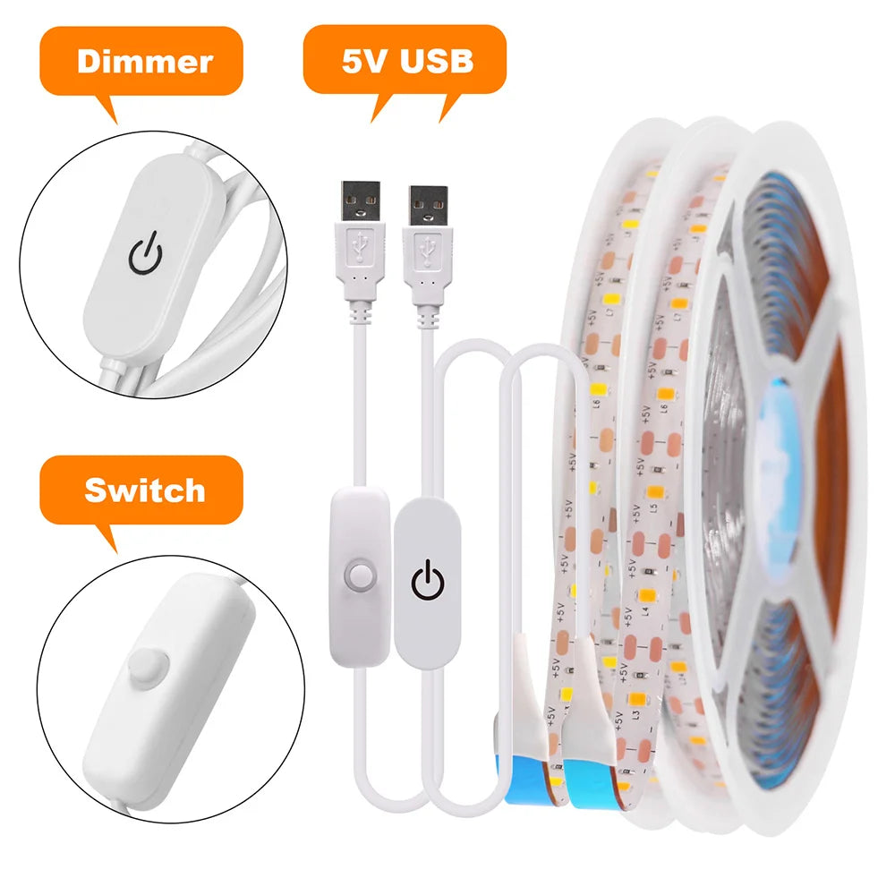 5V USB 2835 LED Strip Light with DC Plug 3528 SMD Flexible Led Tape Ribbon 60LED 0.5m 1m 2m 5m Cabinet Lights Night TV Backlight
