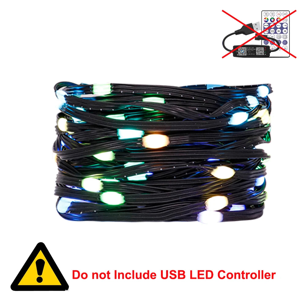 WS2812B RGBIC LED String 5M-20M Dream Color Party Christmas Lights Individually Addressable String Lights Waterproof USB DC DC5V