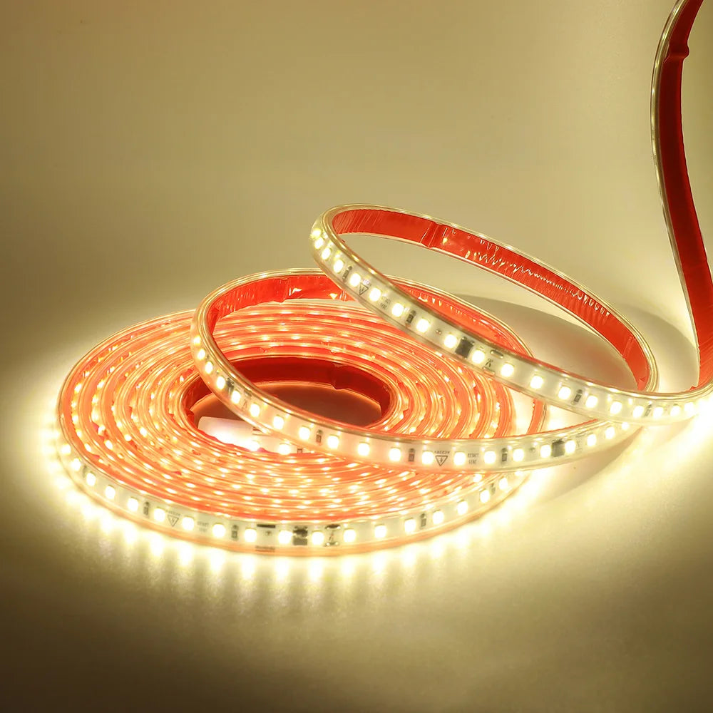 AC 220V 2835 LED Strip Light Waterproof IP67 120 LEDs Flexible Tape Lamp with IC Home Lighting White 0.5m 1m 2m 5m 10m 20m 50m