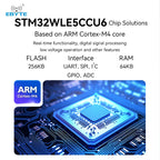 LoRaWan EBYTE E77 Series STM32 Wireless Module 433/915MHz ARM Cortex-M4 Low Power Consumption SoC Support AT Command ABP/OTAA