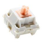 Holy Panda V2 Tactile Keyboard Switch 5 Pins 55g 62g 67g PC POM Nylon Factory Lubed Mechanical Keyboard Custom Switches Hot Plug