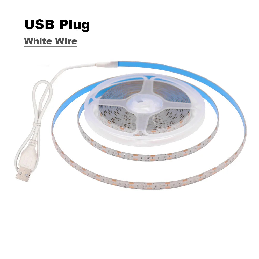 5V USB 2835 LED Strip Light with DC Plug 3528 SMD Flexible Led Tape Ribbon 60LED 0.5m 1m 2m 5m Cabinet Lights Night TV Backlight