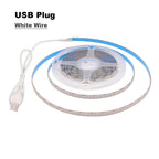 5V USB 2835 LED Strip Light with DC Plug 3528 SMD Flexible Led Tape Ribbon 60LED 0.5m 1m 2m 5m Cabinet Lights Night TV Backlight