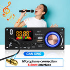 160W Amplifier Bluetooth 5.1 MP3 Decoder Board 2*80W Audio Player 12V DIY MP3 Player Car FM Radio Module TF USB Mic Record Call