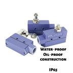 CNTD CZ‑6 Series Limit Switch CZ‑6001 CZ‑6002 CZ‑6003 CZ‑6004 CZ‑6005 Micro Travel Switch IP65 15A CE Certified Waterproof