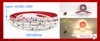 240LEDs/m LED Strip 2835 DC12V 24V Home Light Strip 5M 1200LEDs High Light Red Green Blue Flexible And Cuttable Soft Lamp Bar