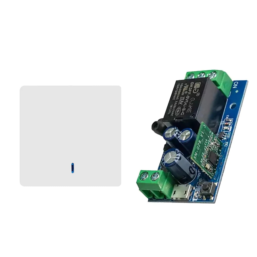 EWelink Smart WiFi Relay Smart Switch DC 5V 12V 24V 48V WirelessRemote Control 1 Way Alexa Googole Home Voice Control