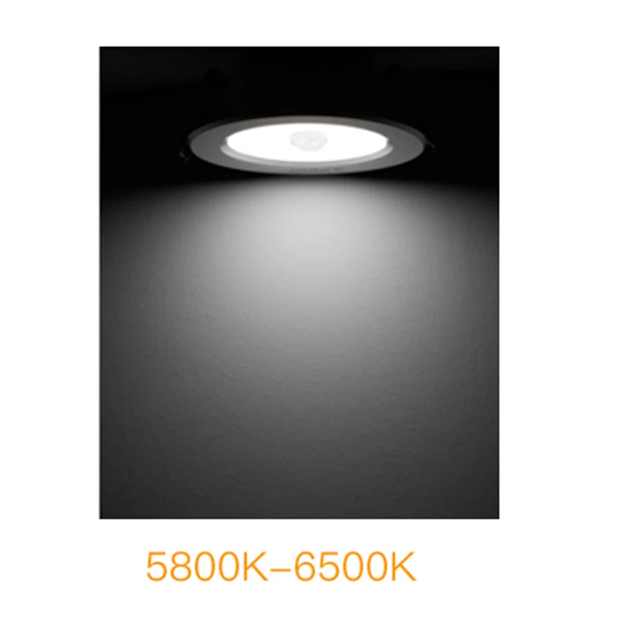 5W 10W 15W 20W PIR Motion Sensor Downlight 85-265V Human Infrared Induction LED Spotlight for Entrance Corridor Hallway Stairs