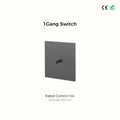 Avoir Wall Toggle Switch Gray Stainless Steel Panel Light Switches 2Way Power Socket Europe Korea French Electrical Outlets Home