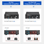 AIYIMA Audio A3001 TPA3255 Subwoofer Amplifier 300W HIFI Speaker Amplifier Mono Sound Power Amplificador Class D Home Audio Amp