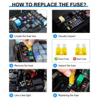 10-100pcs Medium Standard Blade Fuse Insert Kit 2A-40A Automotive Medium Fuses for Car/RV/Truck/SUV/Motorcycle/Boat