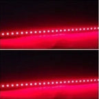 2 PCS LED strip SMD3528 Waterproof Flexible 30CM Red Green Blue White Warm white Super bright car Styling decor stickers lamp