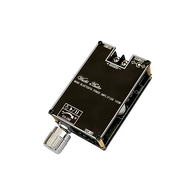 100W Bluetooth 5.1 TPA3116D2 Mono Bt Audio Power Amplifier Module AMP Amplificador Home Theater With TWS Mode 1001B