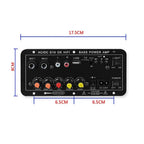 D10 Digital Bluetooth Amplifier Board 110V 220V 12V Subwoofer D 10 Dual Microphone Karaoke Amp Speaker Home Theater DIY BASS AMP