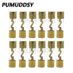 1PCS Gold Plated Glass AGU Fuse Fuses Pack Car Audio Amp Amplifier 10A 15A 20A 25A 30A 40A 50A 60A 70A 80A 100A Car Fuse 10*38MM