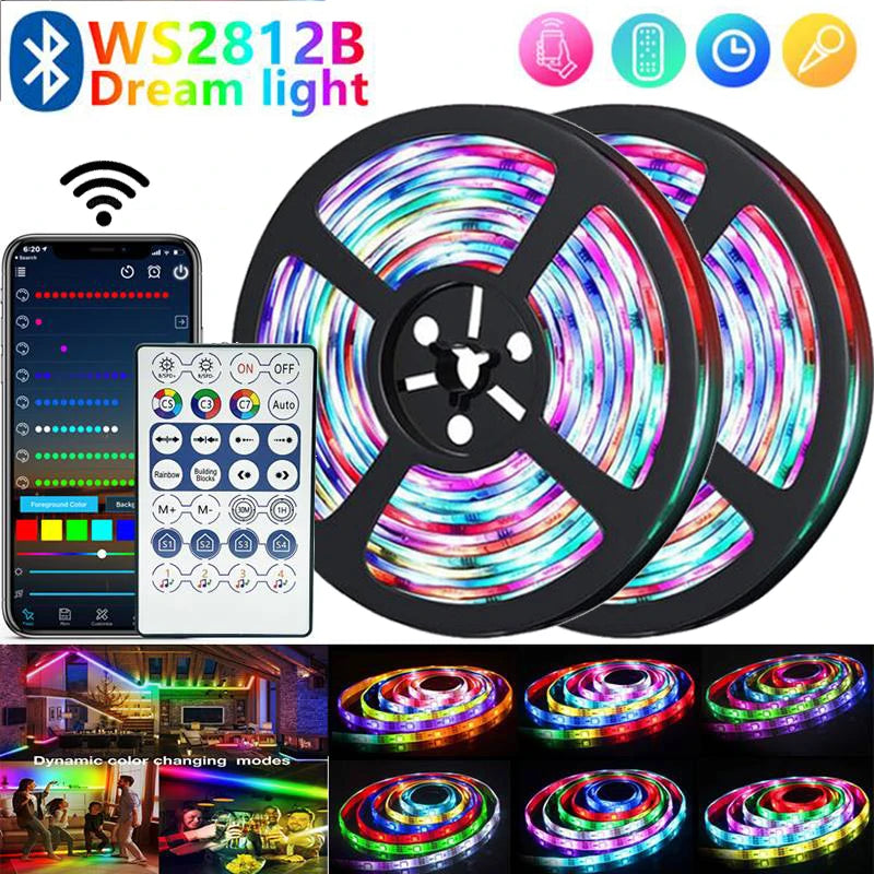 WS2812B LED Light Smart RGBIC LED Strip Light 1-30m DC5V Bluetooth App Control Magic Color Flexible Ribbon Lamp USB TV Backlight
