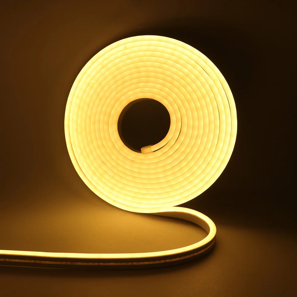 12V 24V LED Neon Light Strip Waterproof Neon Sign 6X12mm Silicone Rope Lights Flexible Lamp Decoration with DC Plug/2pin Wire