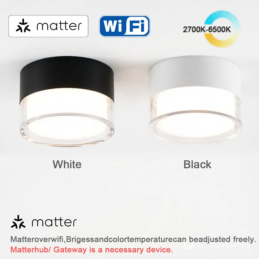 Led Surface Downlight 3CCT Tuya Bluetooth/ Zigbee Matter Fixtures Lighting Indoor Smart Lamp Lighting