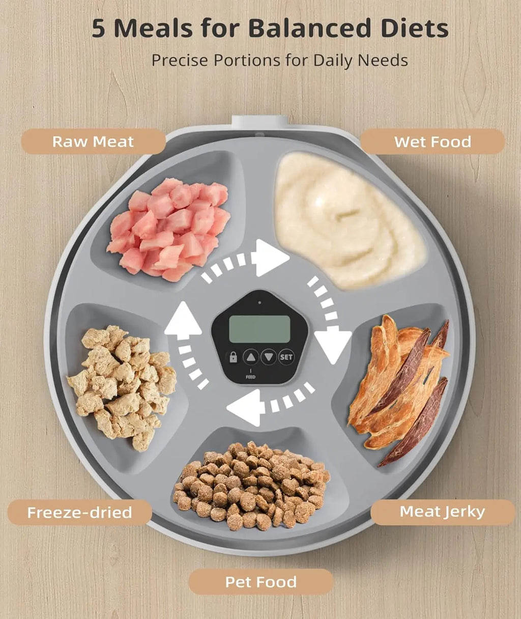 Automatic Cat Feeder 5 Meals Programmable Timer Rechargeable with 2 Ice Packs for Kitten Small Dog Pet Food Dispenser