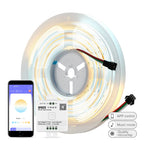 FCOB SPI CCT IC LED Light Strip WS2811 Addressable 576 LEDs 2700K to 6500K 10mm DC24V Flexible FOB High Density COB Lights RA90