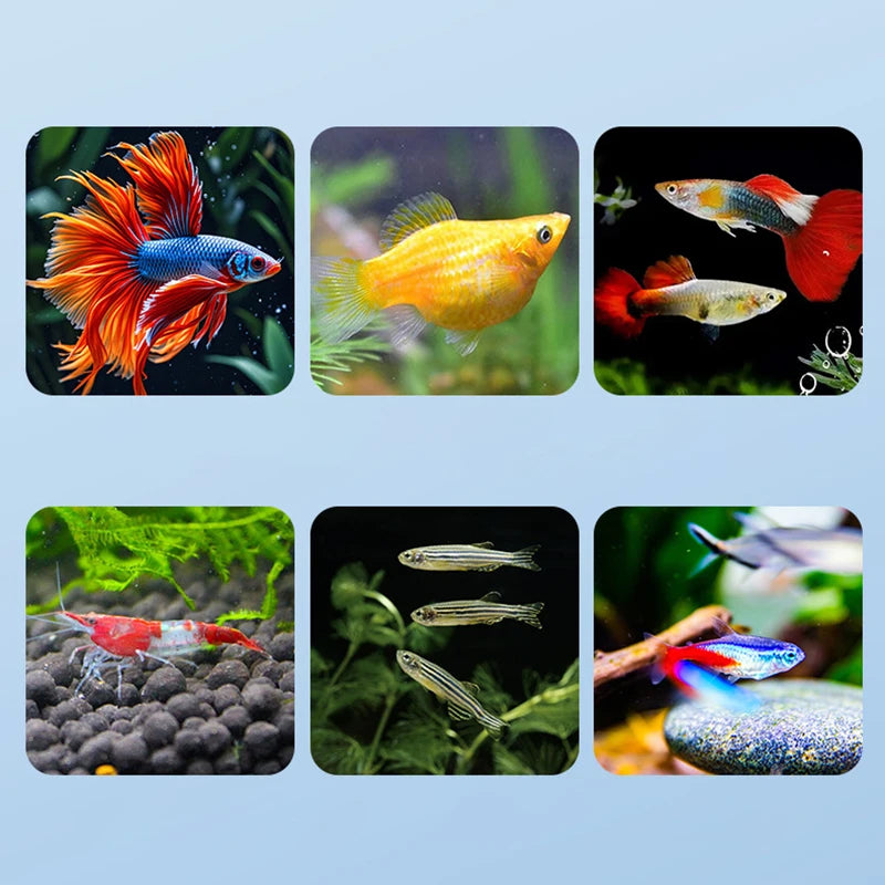 Hot Sale Floating Fish Breeding Isolation Box Aquarium Fish Tank Hatching Incubator Hatching Incubator Feeder Aquarium Hatchery