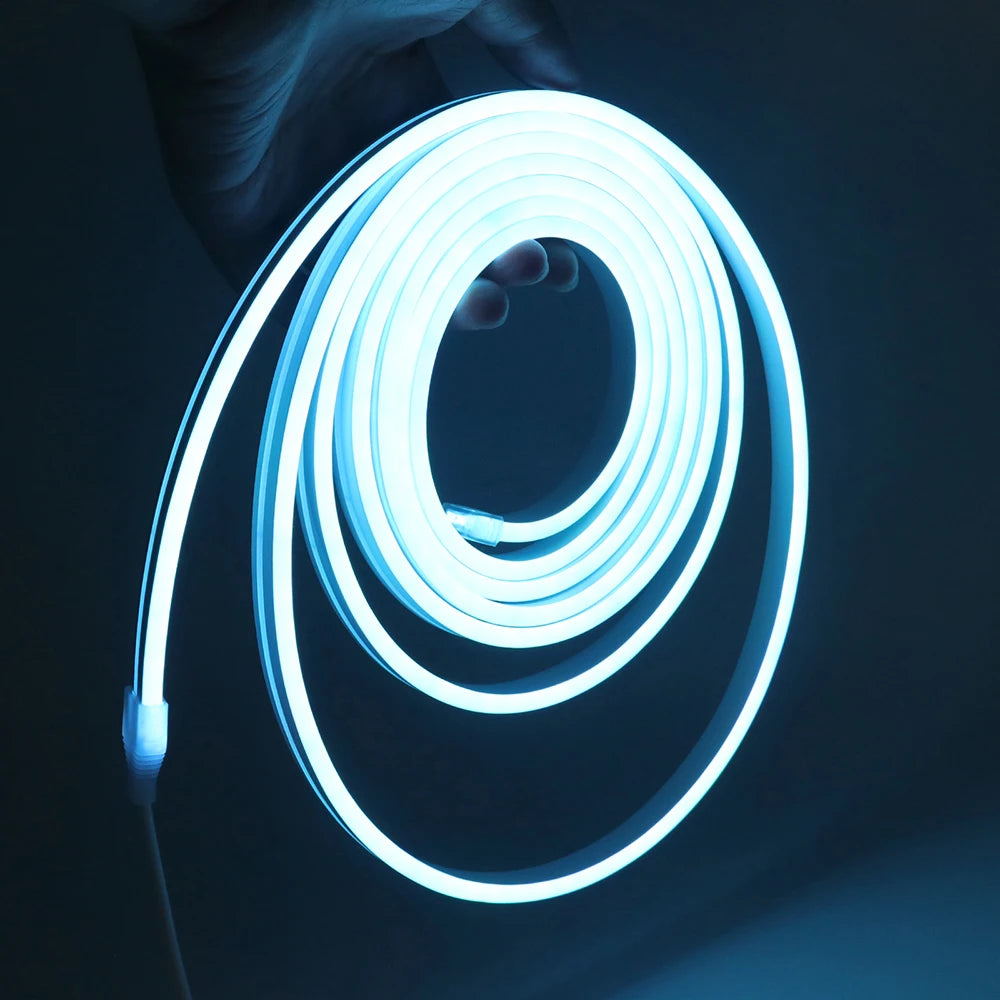 5V Bluetooth RGB LED Neon Strip Light 1M 2M 3M 3AA Battery Box 17Key 24key 44key Remote Control 108Leds/M Waterproof Room Decor